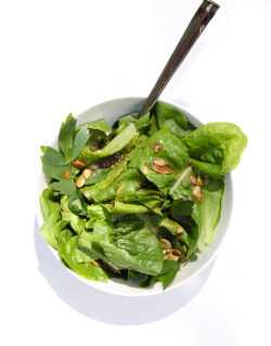 dahlea:  photogenic salad waht 