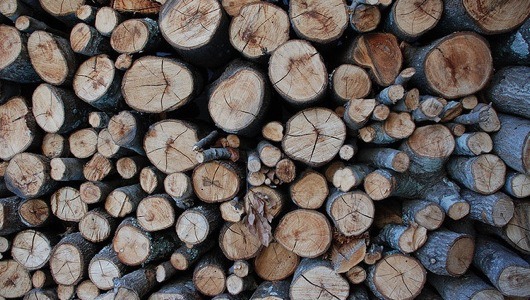 From yule to fuel: Wood burning on the rise in oil-weary households
With the cost of heating oil showing no signs of decreasing, many homeowners, particularly in the Northeast, are dusting off their hearths and relying on wood to heat their homes...