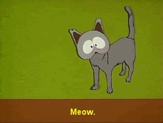 It's time to get Shwifty!