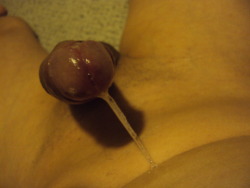 enjoyyourinsticts:  http://enjoyyourinsticts.tumblr.com/ My pre-cum…  That is a lot of pre cum. Sweet sweet nectar&hellip;