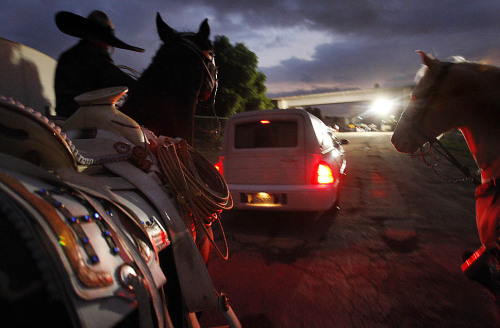 valeriagurrola:  laprima510:  that’s how you do a funeral….  El dia en cual yo me muera, quiero que este alli mi caballo.  