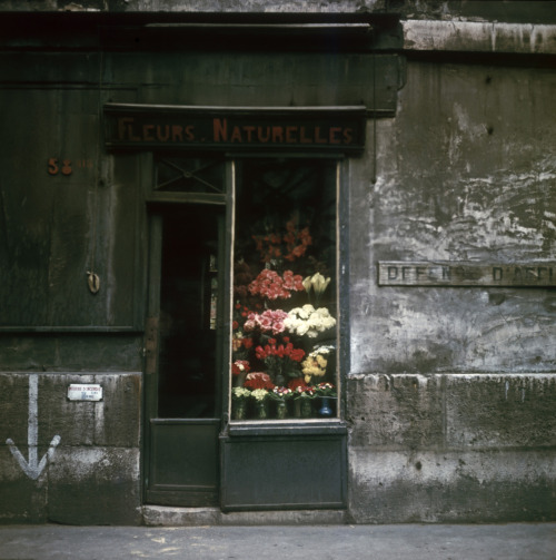firsttimeuser: Flower Shop, Paris, 1950s by Victor Meeussen