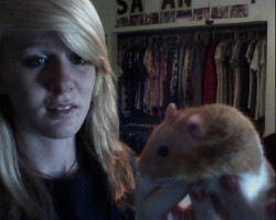 touchyouinyoursleep:  I got a hamster ! 
