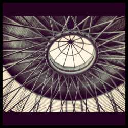 bostonianresolution:  A single event, can awaken within us,  a stranger totally unknown to us 