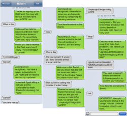thedailywhat:  Purrfect Prank of the Day: Redditor frackyou’s little cousin posted his phone number to Facebook along with a status update informing everyone that he was bored. Cat Facts to the rescue. [reddit.] 