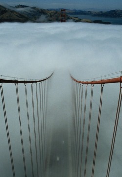 bluepueblo:  Afternoon Fog, The Golden Gate,
