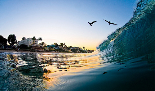 Morning Flyby | Laguna Beach, California© Eric “Claptøn” Nelsøn