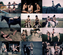 nakedgirlswithhorses:  Leeds University equestrian calendar  Best university? Looks like it :P