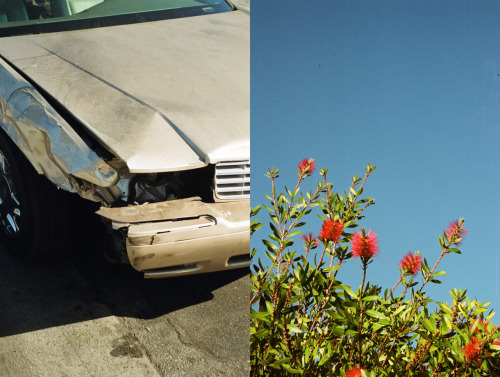 jesuisperdu:  david zilber 