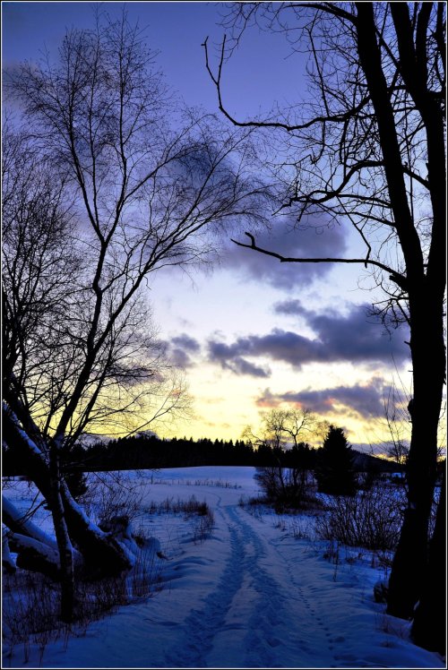 Day turns to Night (via Te Whiu)