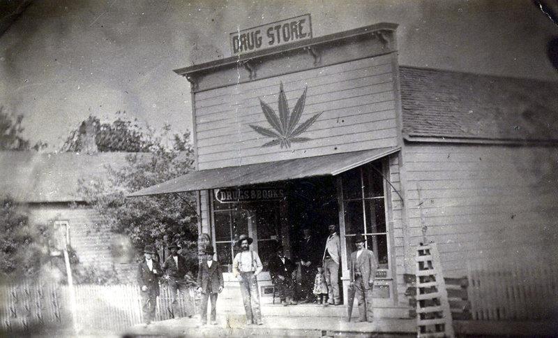maconhadalata:  Drug Store 