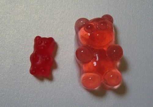 scuseplease:  Vodka gummy bears. The process: Acquire gummy bears (small ones work
