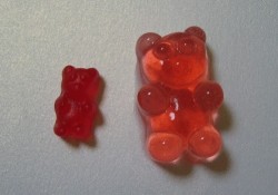 scuseplease:  Vodka gummy bears. The process: