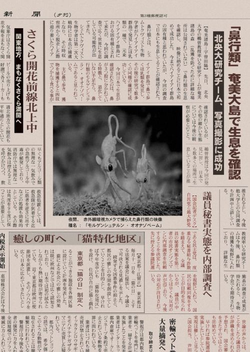 reretlet:カオスちゃんねる : もし人類が滅亡したとして次に地球を支配する生物ってja.wikipedia.org/wiki/鼻行類 南太平洋に存在するハイアイアイ群島に生息して