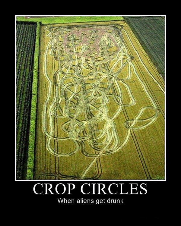 neiru2012:  Crop circles 