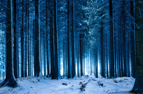 XXX bmrgould:  Wintermarchen - by Aliruo  photo