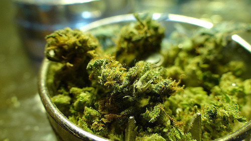 Marijuana Ganja Man