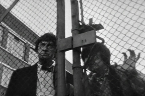 mugglibus:I appreciate how intensely Jamie is peering through that chain-link fence. 