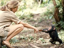 Imwithkanye:  Women Of National Geographic | Nat Geo “Jane Goodall’s Story Of