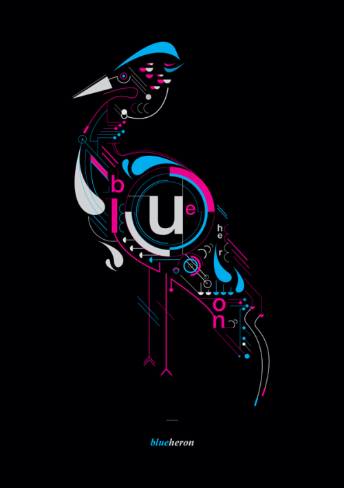 sea-graph-x:  Blue Heron