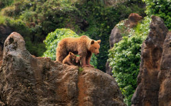 allcreatures:  Cantabria, Spain. Picture: Marina Cano / Barcroft Media 