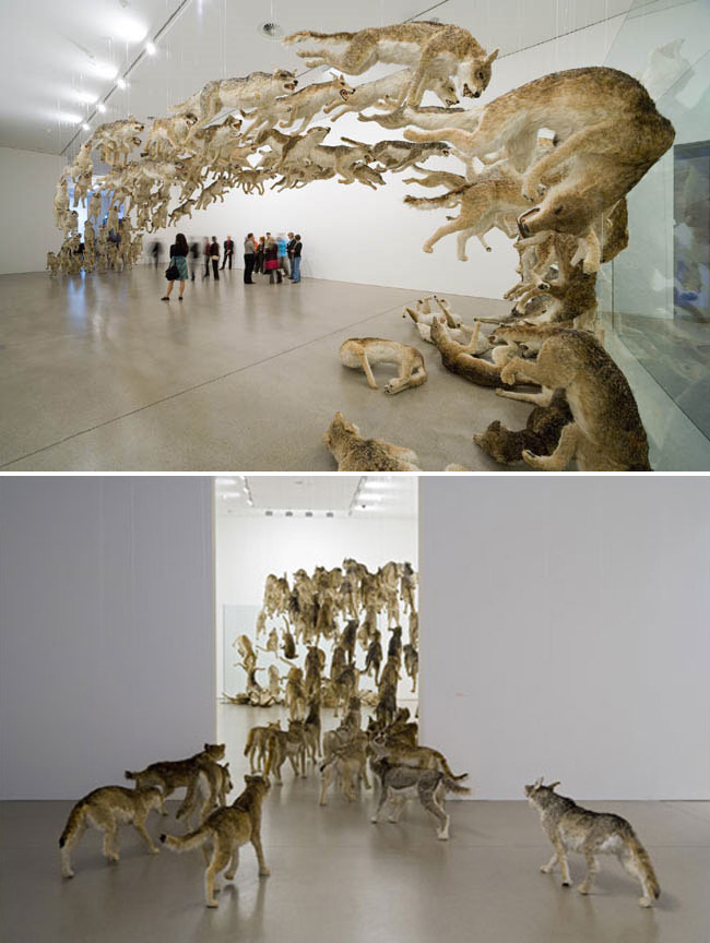 kevinless:   Head On installation by the renowned Cai Guo-Qiang , consisting of 99