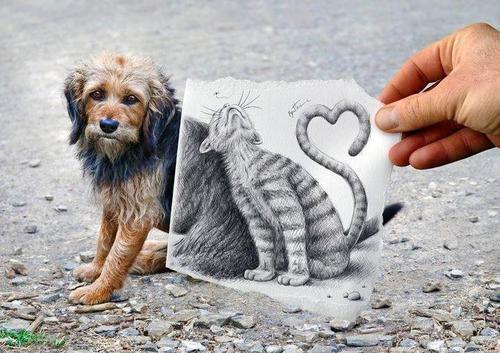  Amigos são mais que simples confidentes, são irmãos que escolhemos pra ficar conosco por toda a vida, mas alguns se esquecem disso e insistem em deixar-nos sós na primeira chuva que cai. (LD)