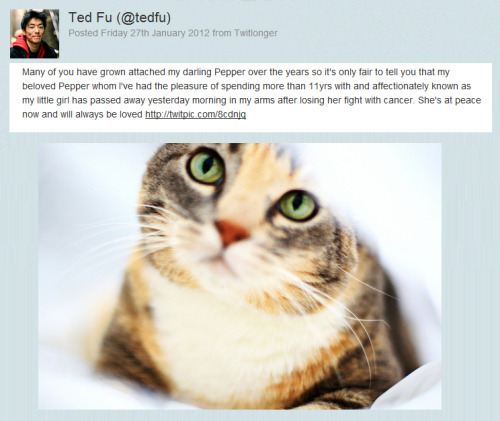 philippinesloveswongfu:She wasn’t just a pet.. She was Ted Fu’s daughter. Wong Fu Productions’ lil p