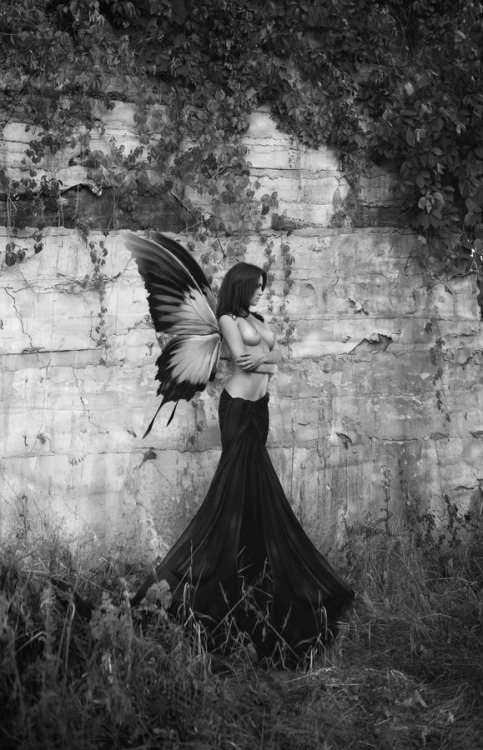 loveandother4-letterwords:  ”The butterfly counts not months but moments and has time enough.”    Pillaged Pixies