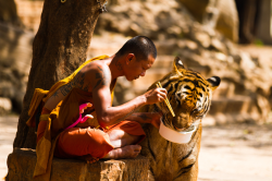 Thedailywhat:  Photo Of The Day: Wojtek Kalka Snapped This Stunning Shot Of A Buddhist