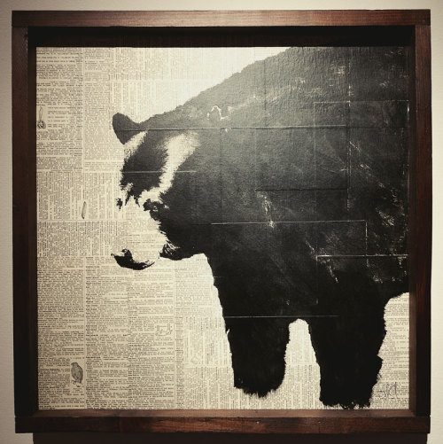 California Black Bear. ink and paper on repurposed wood shelving