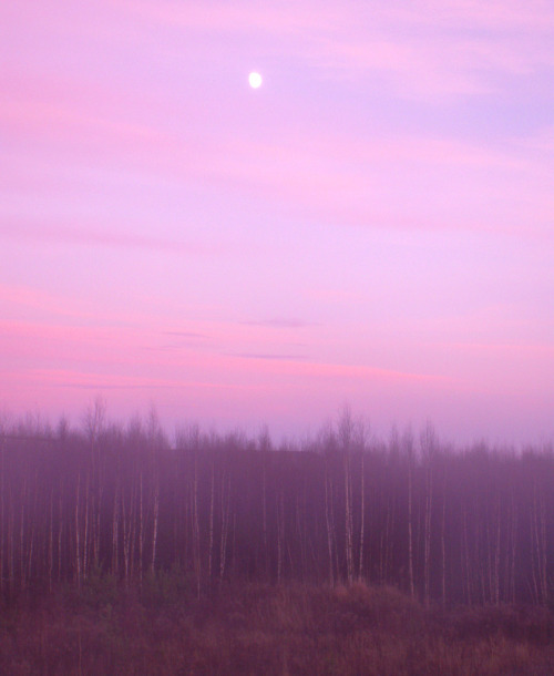 pyrrhic-victoria:  “Pastel Sky” by solglimt/sungleam  porn pictures