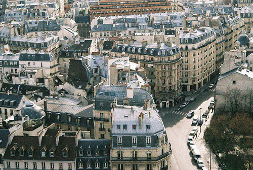 coello:  (by LucyCheung) 