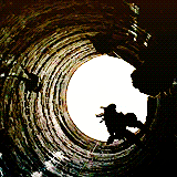 sweetestrush-deactivated2013031: The Dark Knight Rises (2012) 