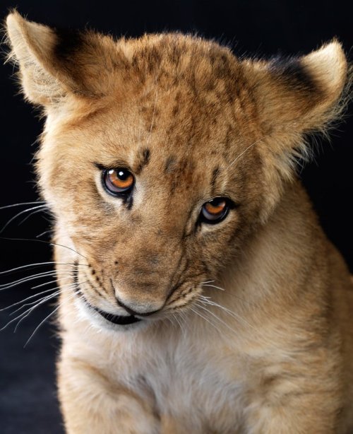 magicalnaturetour:  Lennette Newell Photographer  