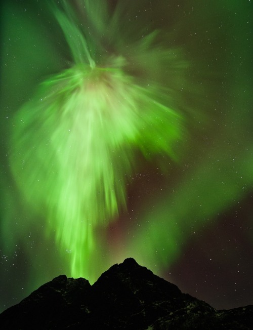 Solar-Storm-Fueled Auroras Make for Awesome Backyard Photography First Image: Firework Lights, A fir