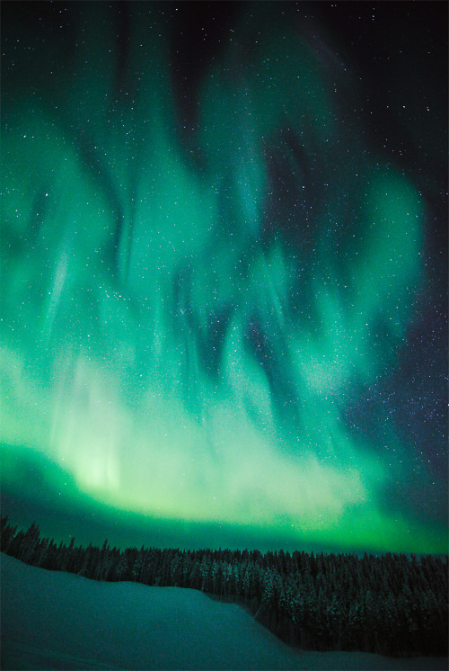 Solar-Storm-Fueled Auroras Make for Awesome Backyard Photography First Image: Firework Lights, A fir