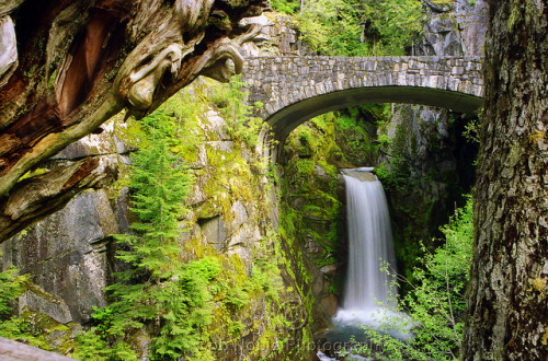 by Bob Noble Photography on Flickr.Christine Falls, Mount Rainier National Park - Washington, USA.