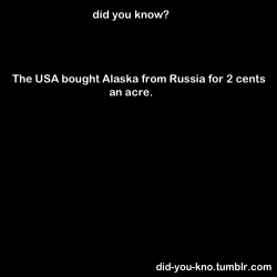 did-you-kno:  Source   You don&rsquo;t say..hmmm lol