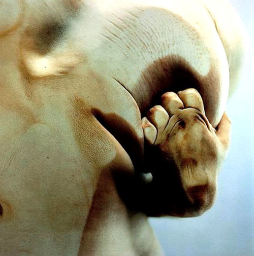 wewantrevolutiongirlstylenow:  Jenny Saville and Glen Luchford, Closed Contact “She presses her skin against glass to disfigure and manipulate it, emphasizing her negative body image.” Via 