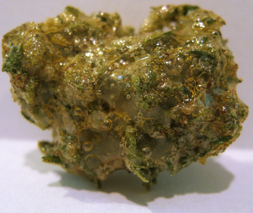 nunchung:  Honey bud