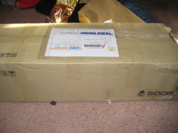 cklikestogame:  wahrsager:  Cobweb came today!