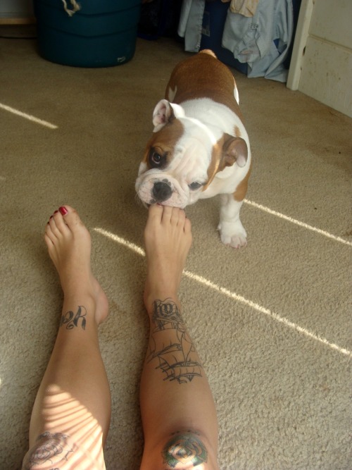 littleninaosbornxxx:  I can’t even be mad when he does cute shit like this. 
