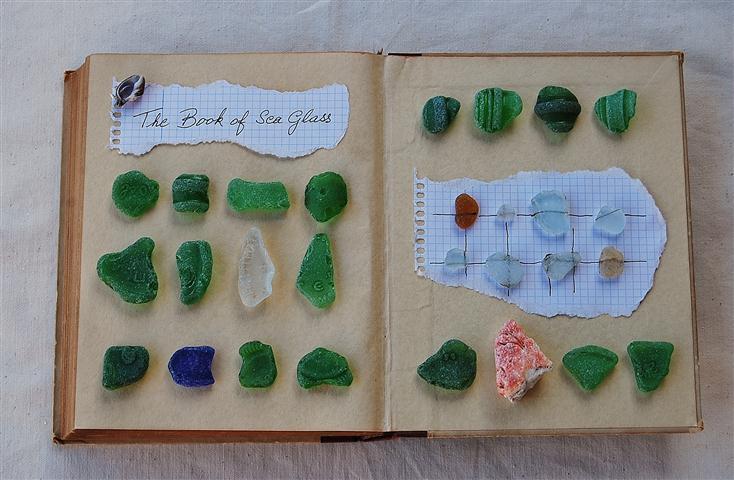 thingsorganizedneatly:  Wim Del Arte