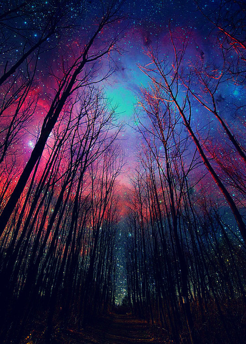 it's you & me up against this whole wide world