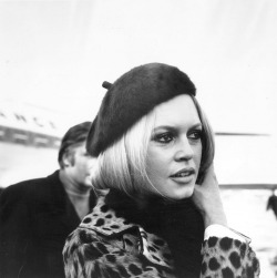 carangi:  Brigitte Bardot