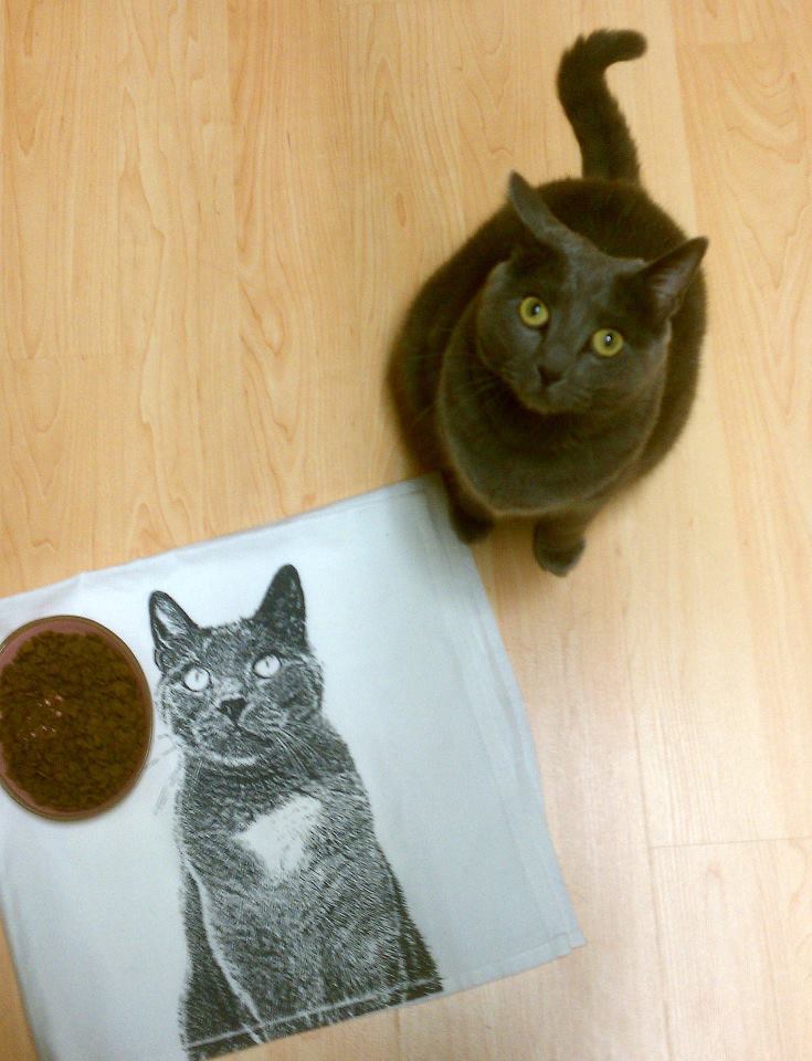 “I draw thiz for you. Do you likez??”
Photo via The Purr Diaries