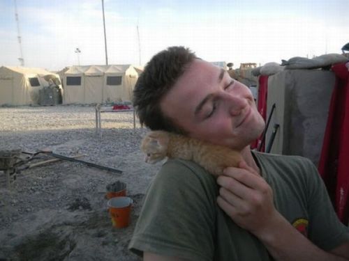 askclint:  socialsaltysailors:   Kittens rescued by US Marines in Afghanistan  But the second one.  This.  All of it. 