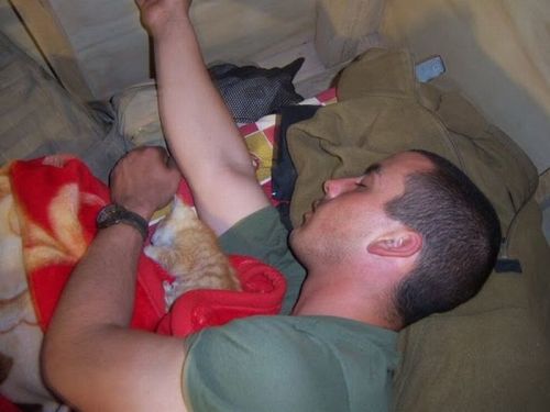 askclint:  socialsaltysailors:   Kittens rescued by US Marines in Afghanistan  But the second one.  This.  All of it. 