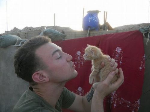 askclint:  socialsaltysailors:   Kittens rescued by US Marines in Afghanistan  But the second one.  This.  All of it. 